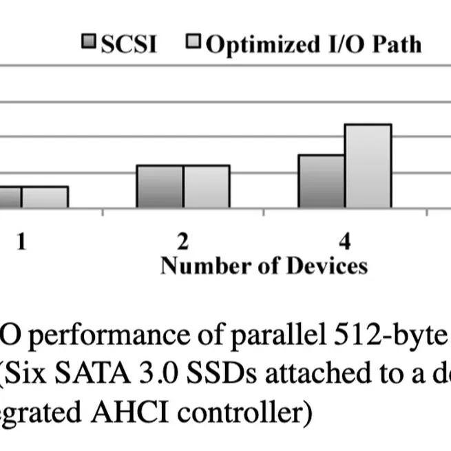 OS I/O Path Optimizations for Flash Solid-state Drives